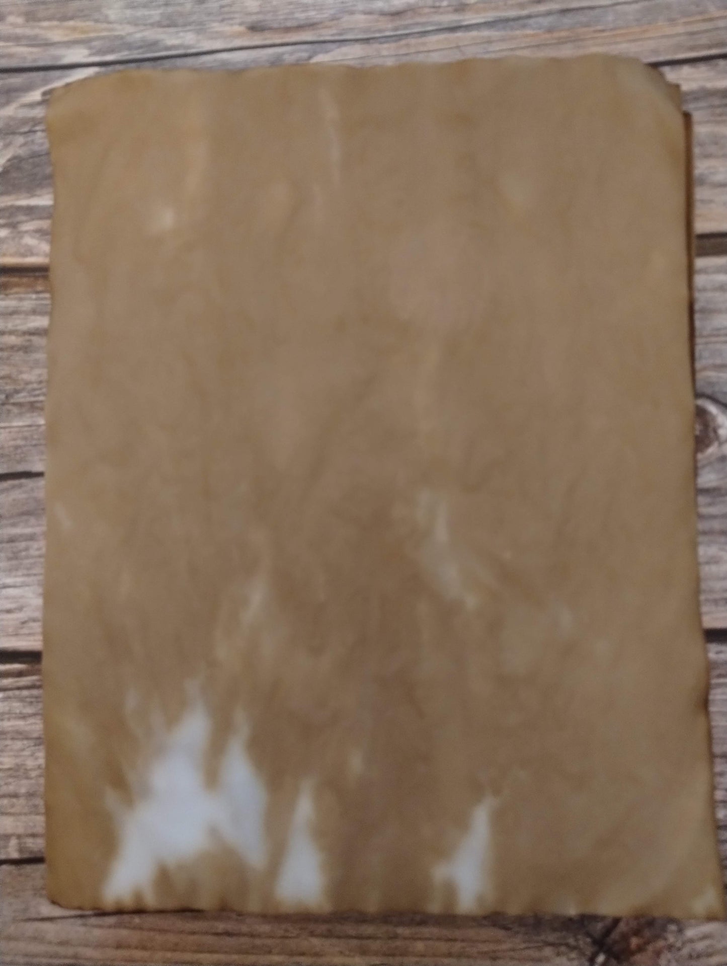 Coffee Dyed Vellum