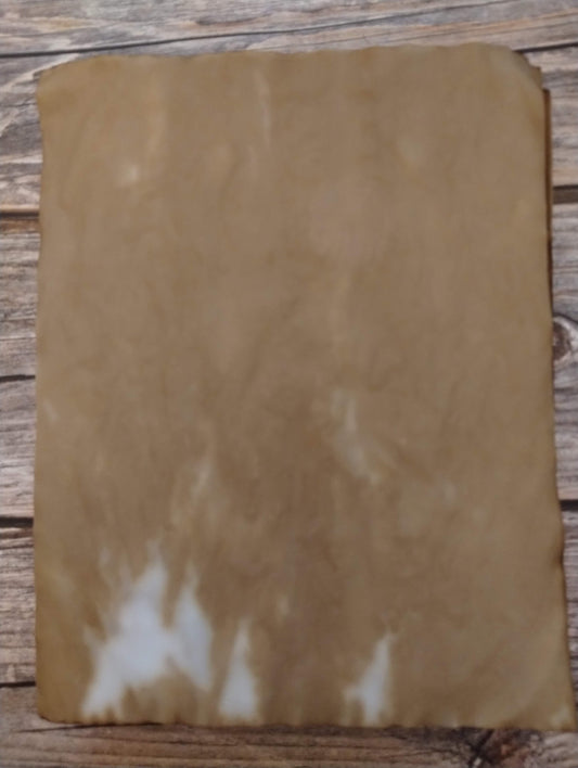 Coffee Dyed Vellum